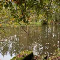 "Luxembourg's Scenic Wonders: 5-Day Journey"