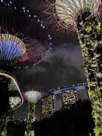 Garden by the bay 📍Singapore 