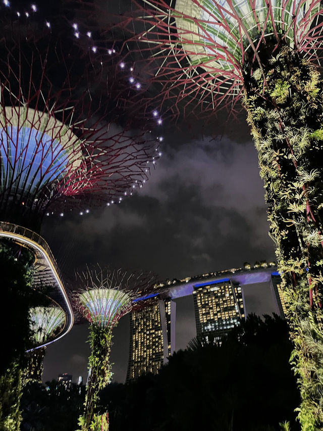 Garden by the bay 📍Singapore 