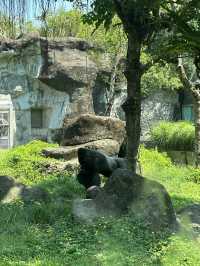 Animaland at Taipei Zoo