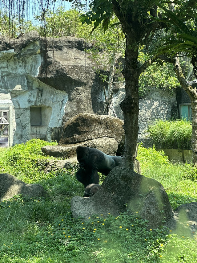 Animaland at Taipei Zoo