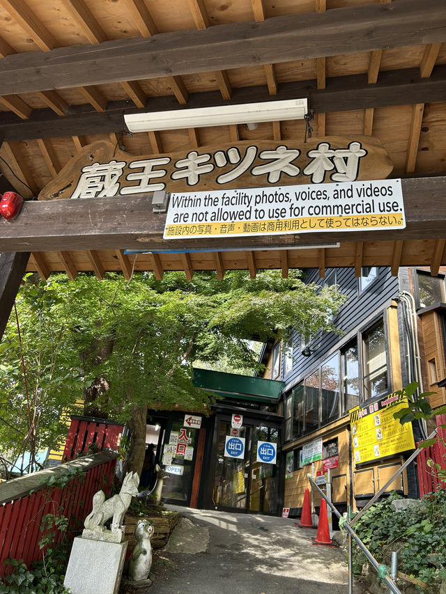 蔵王きつね村🦊