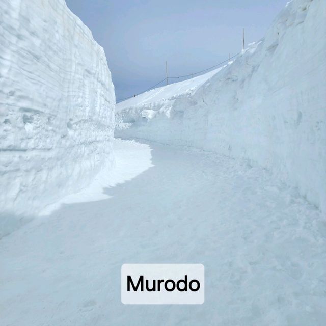 One day trip Tateyama Kurobe Alpine Route