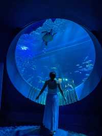 【沖縄】豊見城市 デジタルと魚たちの融合が幻想的な水族館