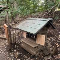 本川越求姻緣好去處｜冰川神社