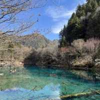 อุทยานแห่งชาติจิ่วจ้ายโกว (Jiuzhaigou) 🏞️