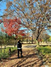 가을 남원여행 필수코스 광한루원