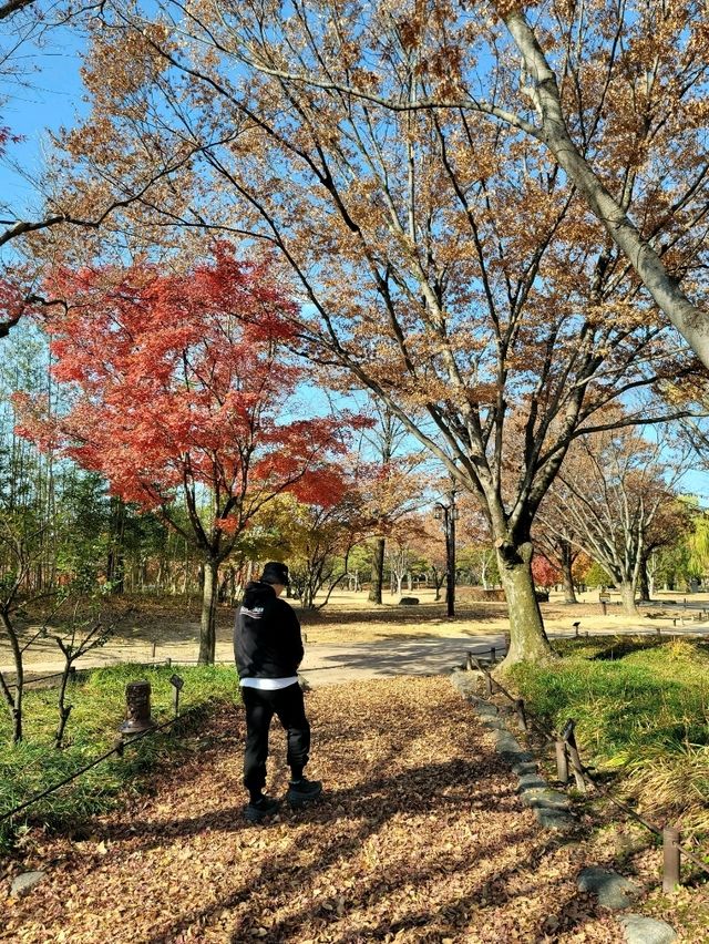가을 남원여행 필수코스 광한루원