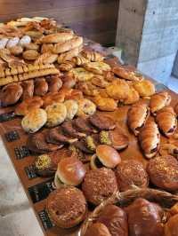 🥐구글 평점 4.3  마쓰야마 빵지순례 필수코스🍞