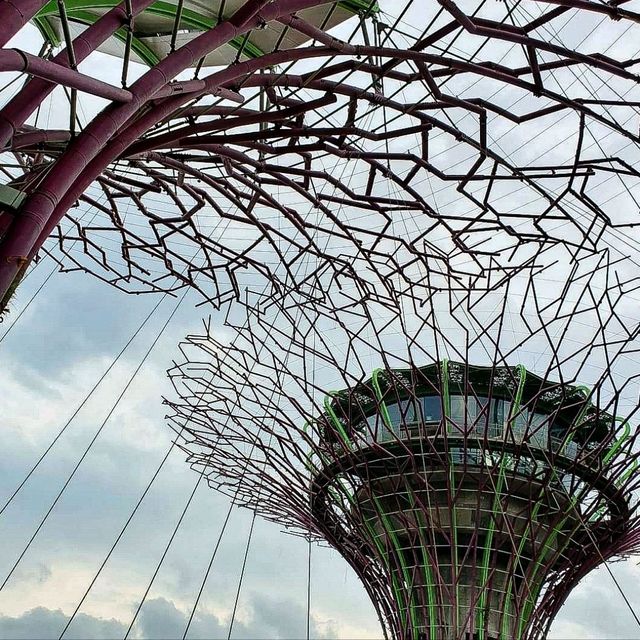 Free Architectural Trail?