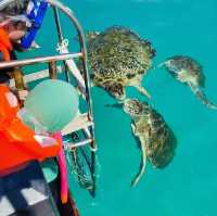 Sun, Sea, and Snorkeling: My Unforgettable Redang Island Getaway!