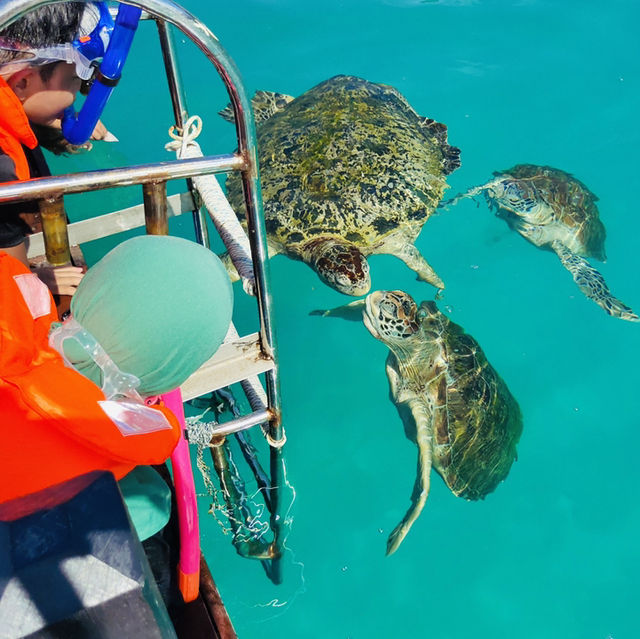 Sun, Sea, and Snorkeling: My Unforgettable Redang Island Getaway!