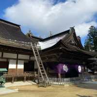 光雲神社：紅葉映地 🍁⛩️