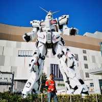 Standing Tall with the Unicorn Gundam
