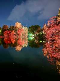 北海道　札幌観光　中島公園2024 紅葉の中島公園ライトアップが最高だった！