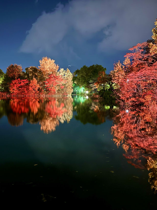 北海道　札幌観光　中島公園2024 紅葉の中島公園ライトアップが最高だった！