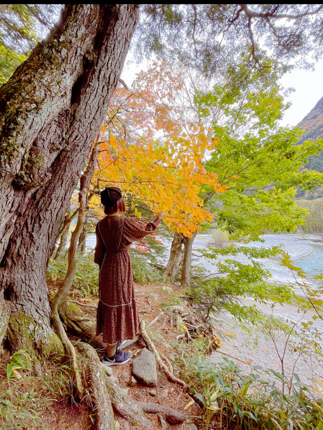 長野観光☺️自然豊かな上高地へ🏔️🌿✨