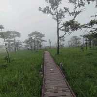 ชัยภูมิ