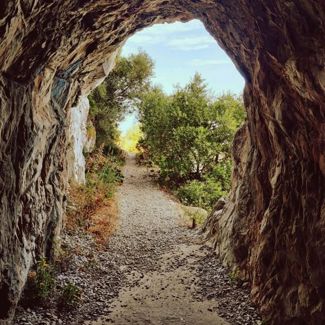 維護良好的登山步道，適合相對身體健壯的郊遊者。