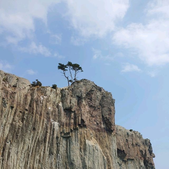 안갔으면 후회할뻔한 서귀포 유람선, 범섬투어