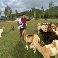 จับแพะชนแกะ เขื่อนปราณบุรี