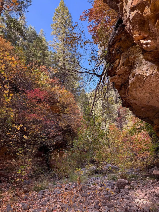 A Day of Canyon Climbing in Arizona