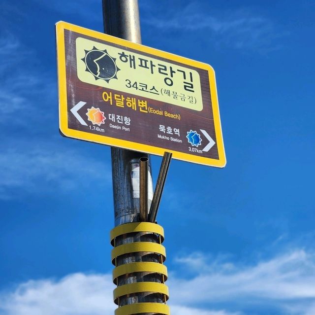 "동해의 매력, 자연과 맛으로 가득 찬 힐링 여행"
