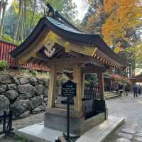 小石川大神宮🪷靜謐之境