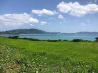 【石垣島】