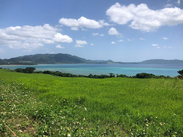 【石垣島】