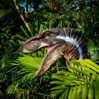 Dino Park Phuket