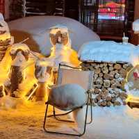 The China Snow Town