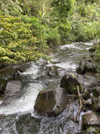 Situ Gunung Suspension Bridge: Walking on Air