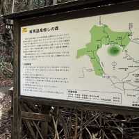 🇯🇵漫步有馬溫泉療癒之森🌲
