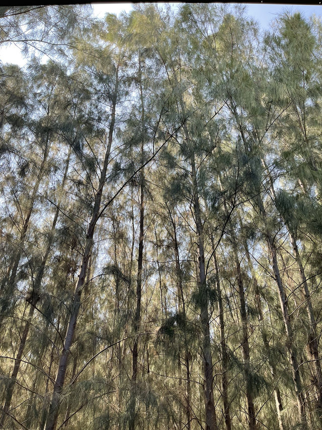 วัดดอนขนาก นครปฐม🙏🏻