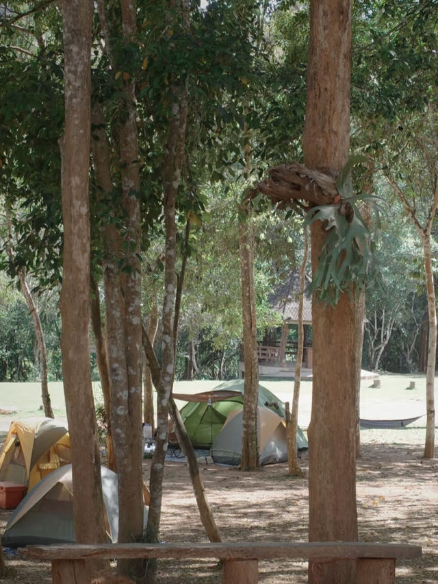 Into the Wild: Camping Adventure at Kaeng Krachan National Park 