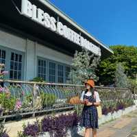 BLESS COFFEE ROASTERS - คาเฟ่นครสวรรค์
