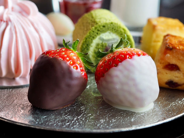 Spring Afternoon Tea at The Lounge🌸