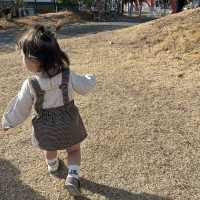 初めてのグリーンランド