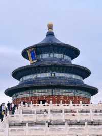 The Temple of Heaven Park in fall🍁