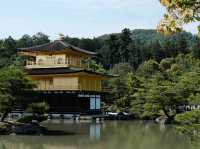 漫步金閣寺：靜謐與美的極致體驗