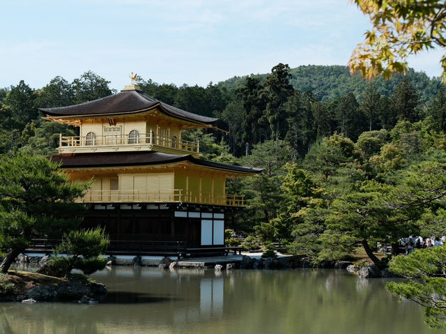 漫步金閣寺：靜謐與美的極致體驗