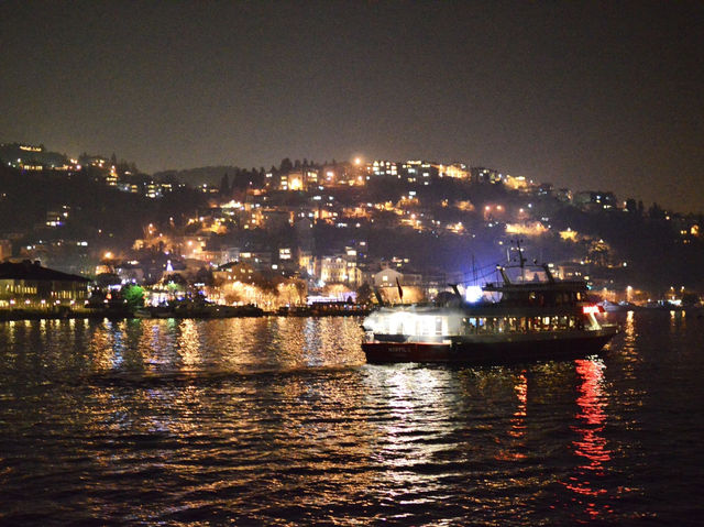 Dinner Cruise on the Bosphorus Strait🚢