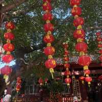 深圳仙湖植物園+弘法寺半日遊