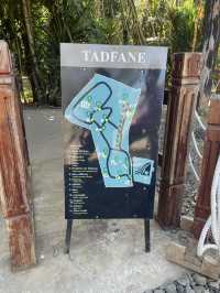 Tad Fane Waterfall : Paksong