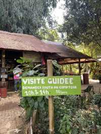 Bolaven Plateau Coffee (Lak 40)