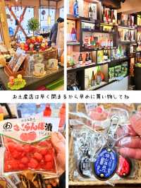 【山形／尾花沢】映画のモデルで有名な「銀山温泉」⁡