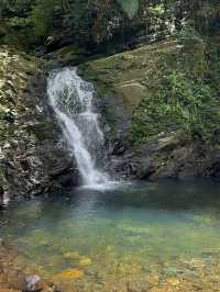 Rhododendron Falls