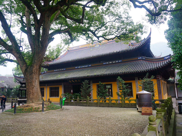 佛教聖地：寧波阿育王寺之旅