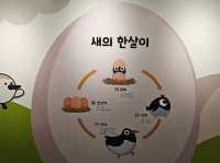 대한민국 충청남도 서천군 조류 생태 전시관 입니다.